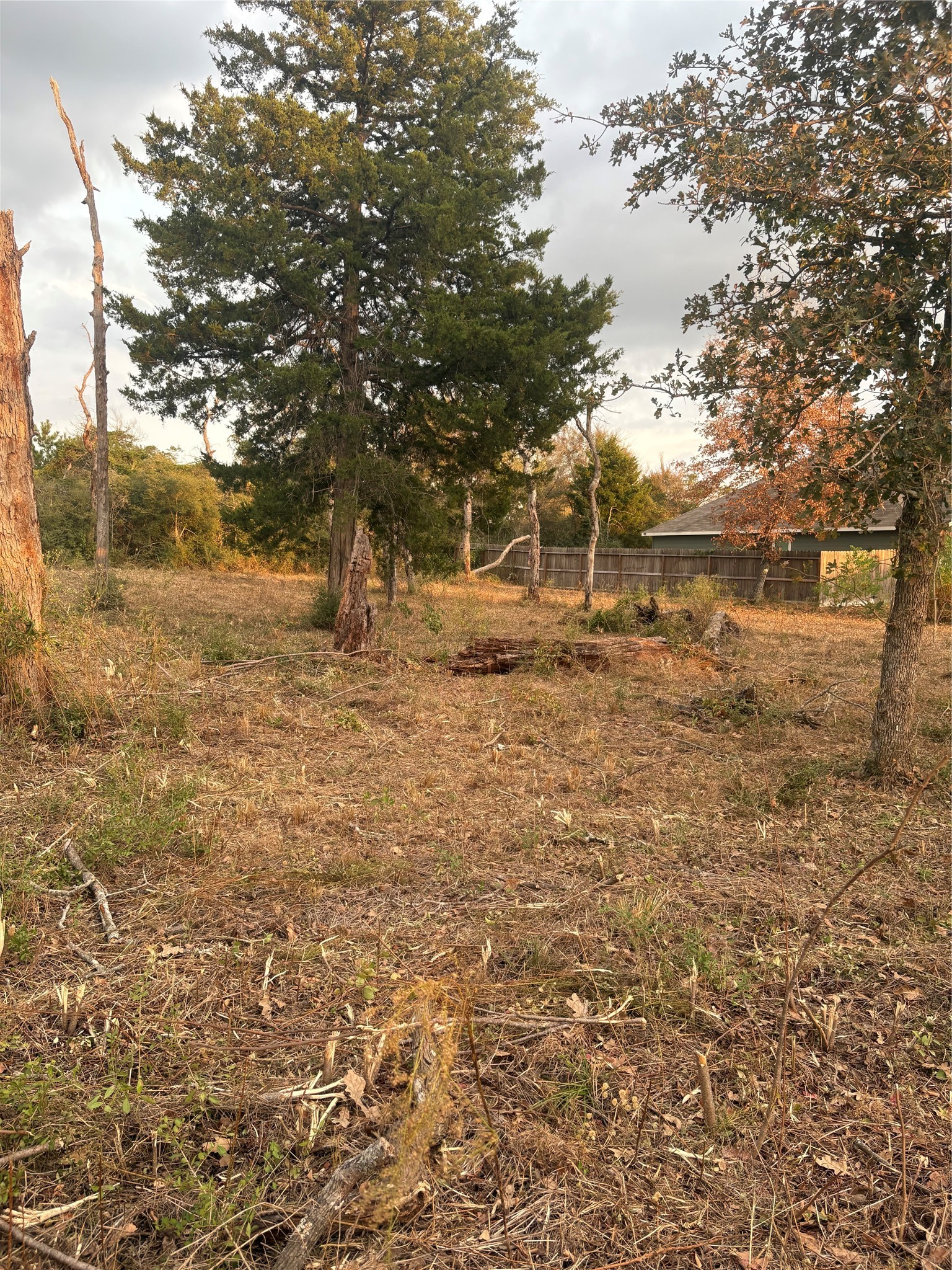 0 Park View Drive Hempstead, TX 77445 - Photo 23 of 26
