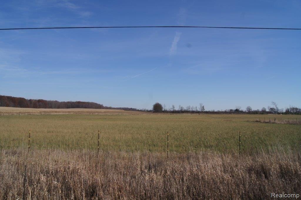 4.64 Acres Jefferson Rd. (2).jpg