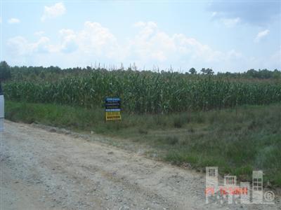 1111 Point Caswell Road Atkinson, NC 28421 - Photo 1 of 2 Primary Photo