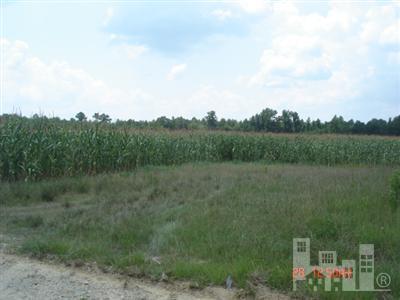 1111 Point Caswell Road Atkinson, NC 28421 - Photo 2 of 2 Additional Photo