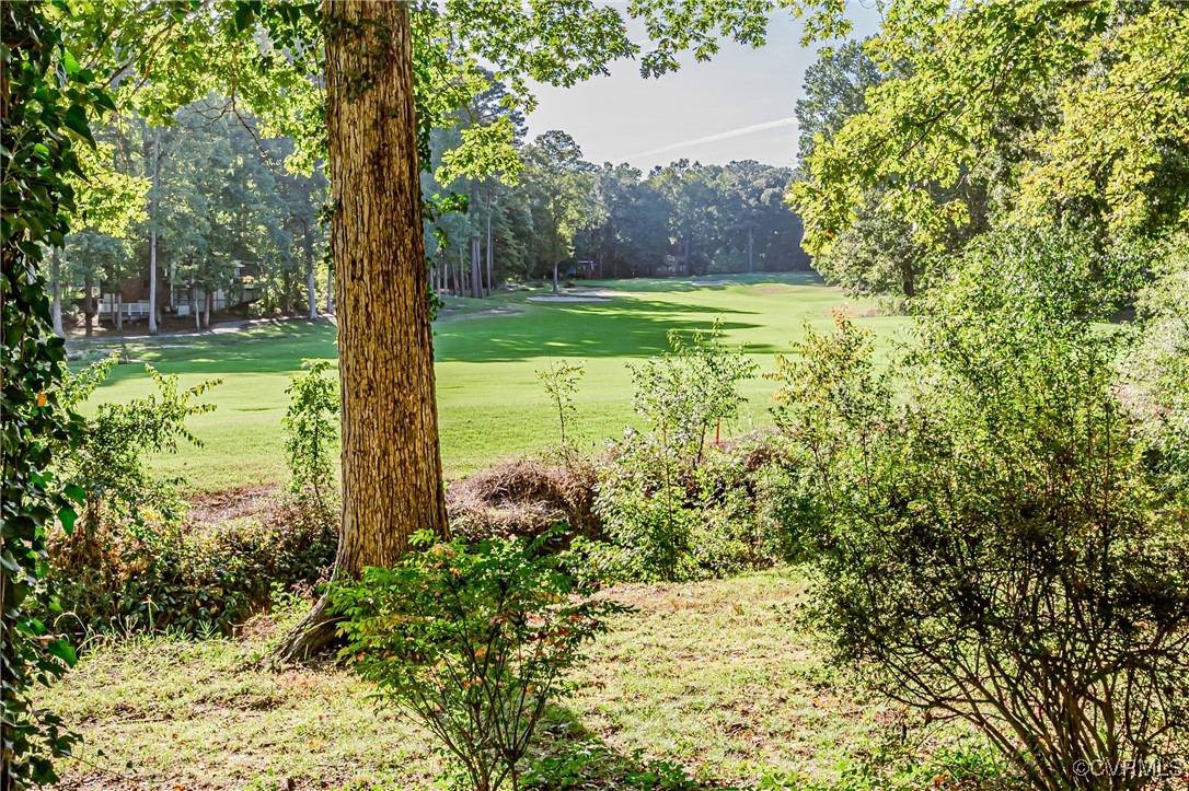 3100 3 Bridges Road Midlothian, VA 23112 - Photo 45 of 48 a view of a yard with a tree