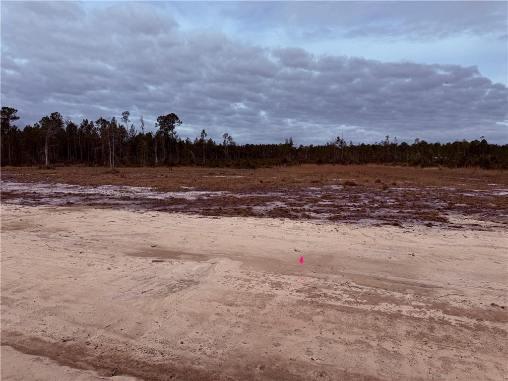 Lot 9 Wiregrass Lane, Unit 9 Waycross, GA 31503 - Photo 5 of 6 Photo 5