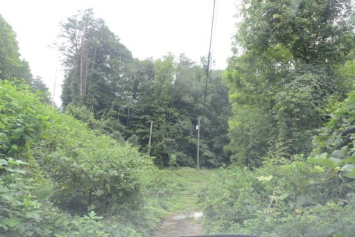 1448 Cranmore Cove Road Dayton, TN 37321 - Photo 1 of 7 Primary Photo