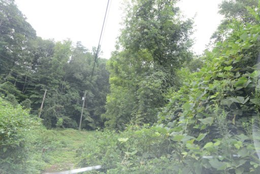 1448 Cranmore Cove Road Dayton, TN 37321 - Photo 2 of 7 Additional Photo