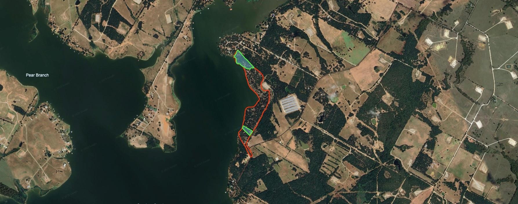 882 Limestone County Road Jewett, TX 75846 - Photo 6 of 7 a close up of a tree in a backyard