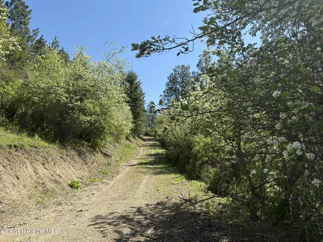 $399,500 | Nka South Nka S Fork Ridge Road, Smelterville, ID 83868