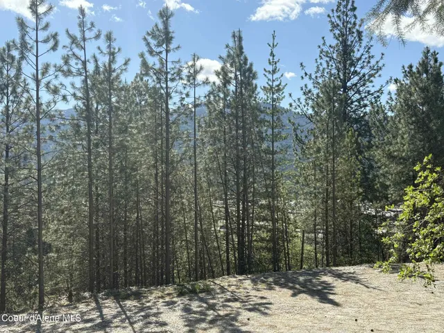 $399,500 | Nka South Nka S Fork Ridge Road, Smelterville, ID 83868