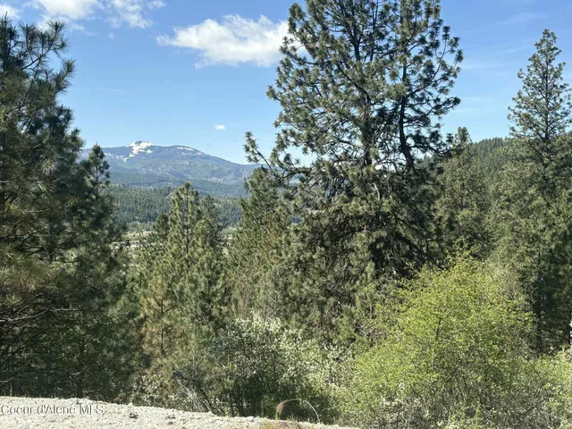 $399,500 | Nka South Nka S Fork Ridge Road, Smelterville, ID 83868