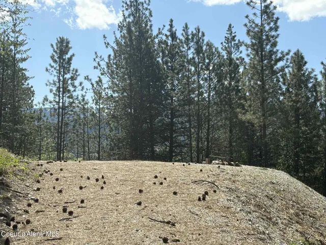 $399,500 | Nka South Nka S Fork Ridge Road, Smelterville, ID 83868