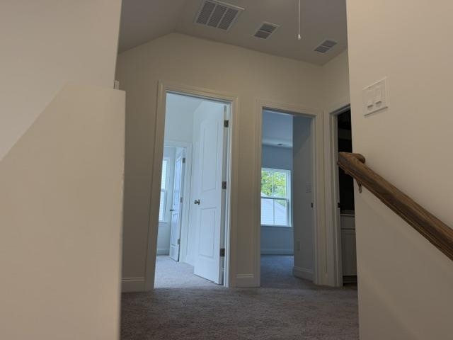 3810 Richardson Street Loris, SC 29569 - Photo 32 of 37