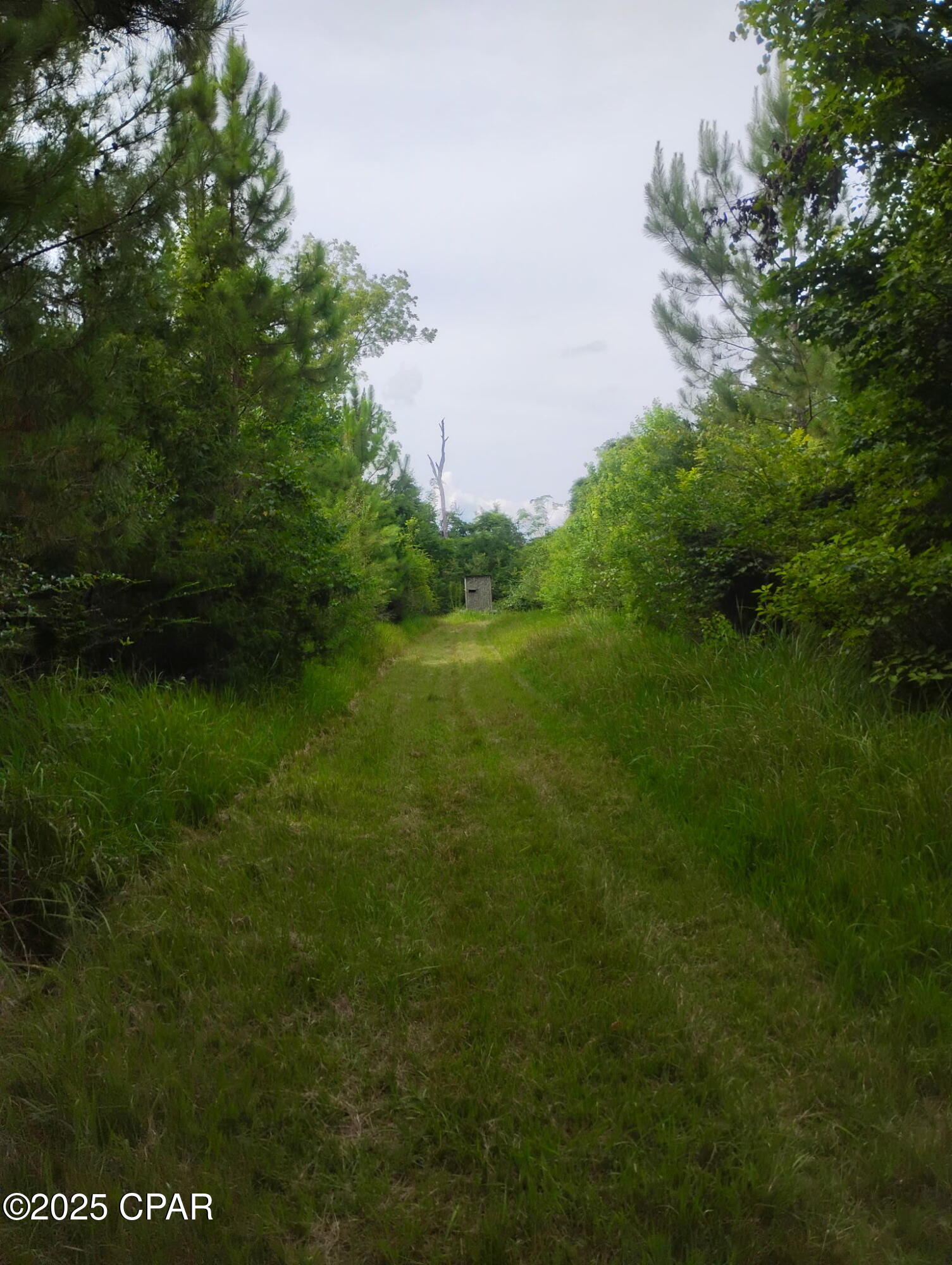 0 Hwy 77 Chipley Chipley, FL 32428 - Photo 17 of 23