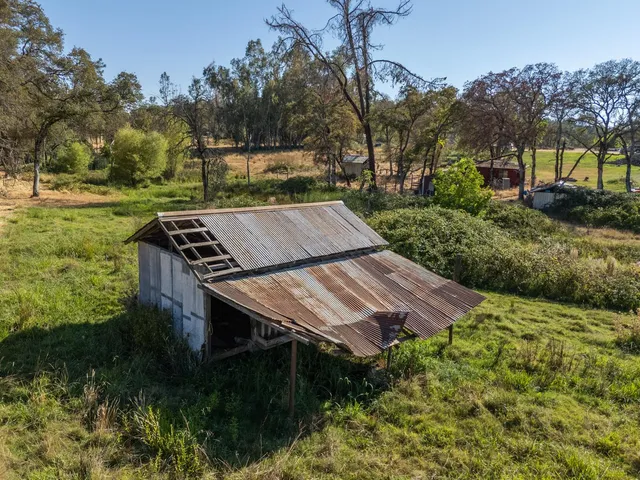 a view of a backyard with plants and outdoor seating