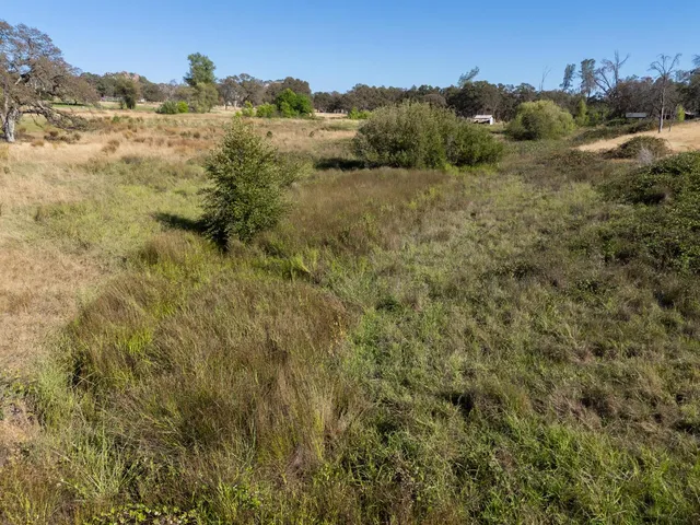 a view of an outdoor space and a yard
