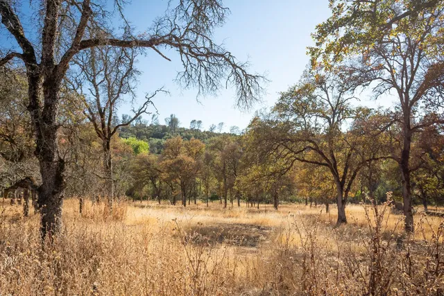 a view of yard covered with snow in front of house