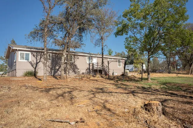 a view of a yard with a tree