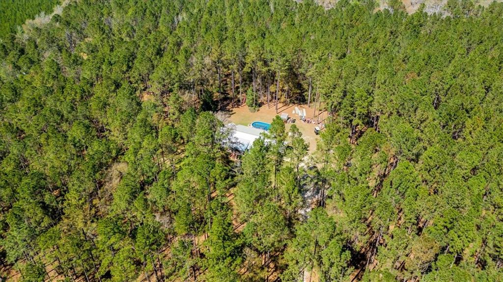 5200 Old River Road South Brooklet, GA 30415 - Photo 50 of 53