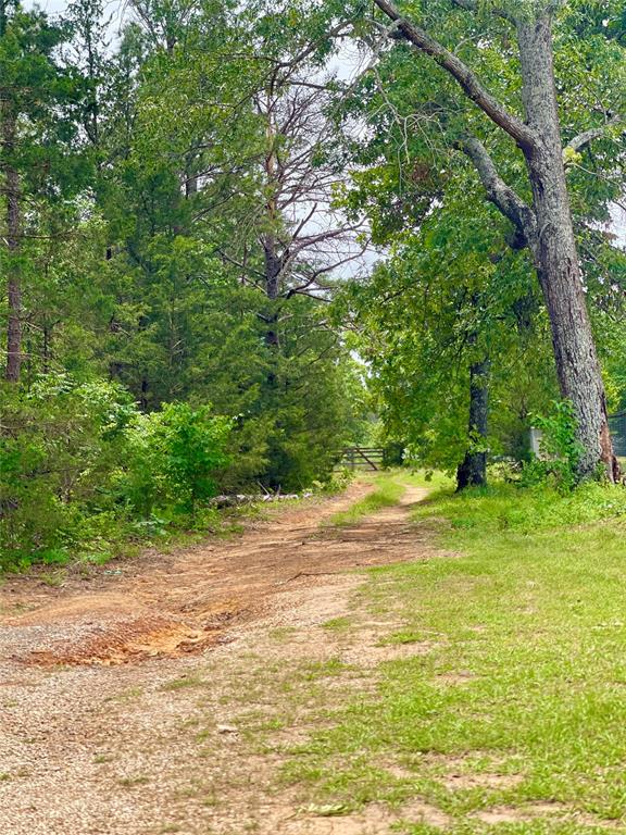 334 & Cr Tyler, TX 75708 - Photo 2 of 12 a view of a yard with a tree