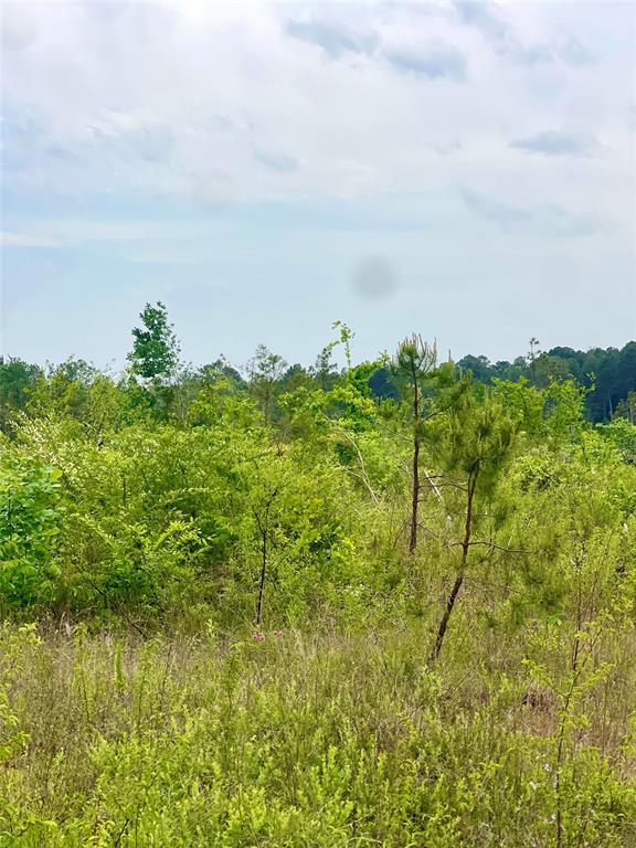 334 & Cr Tyler, TX 75708 - Photo 3 of 12 a view of a lake with a yard
