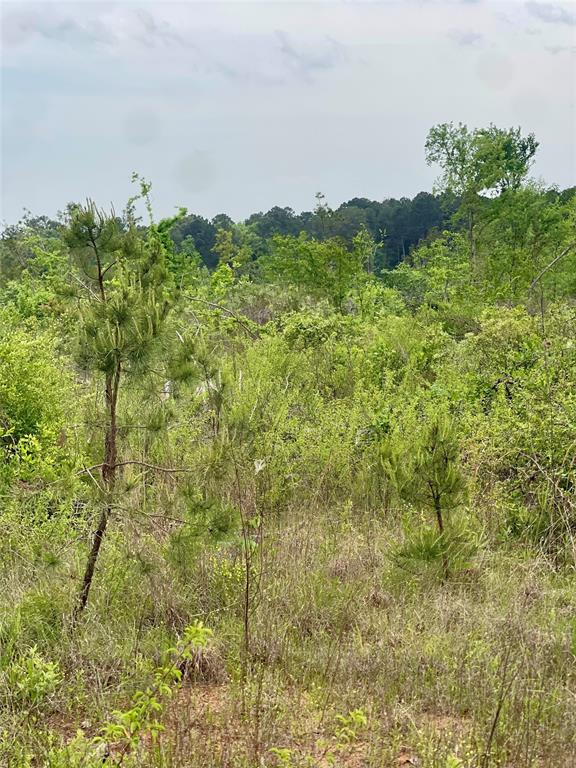 334 & Cr Tyler, TX 75708 - Photo 4 of 12 a view of a lake