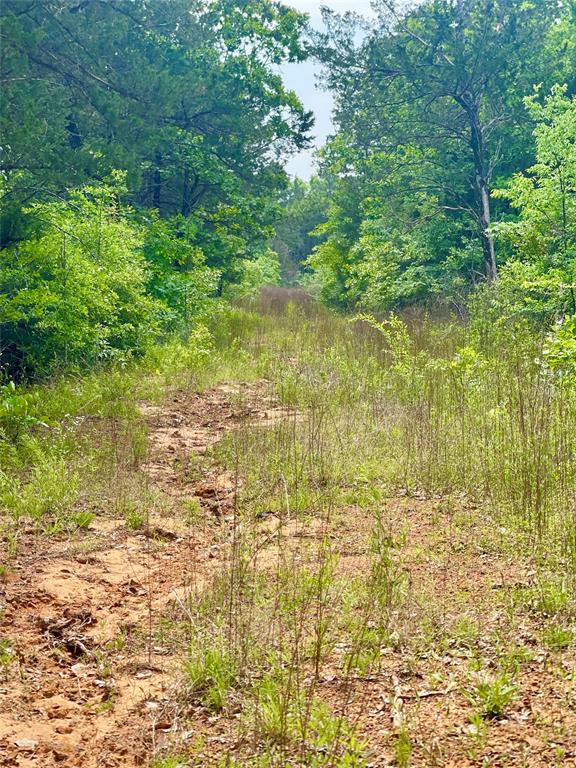 334 & Cr Tyler, TX 75708 - Photo 7 of 12