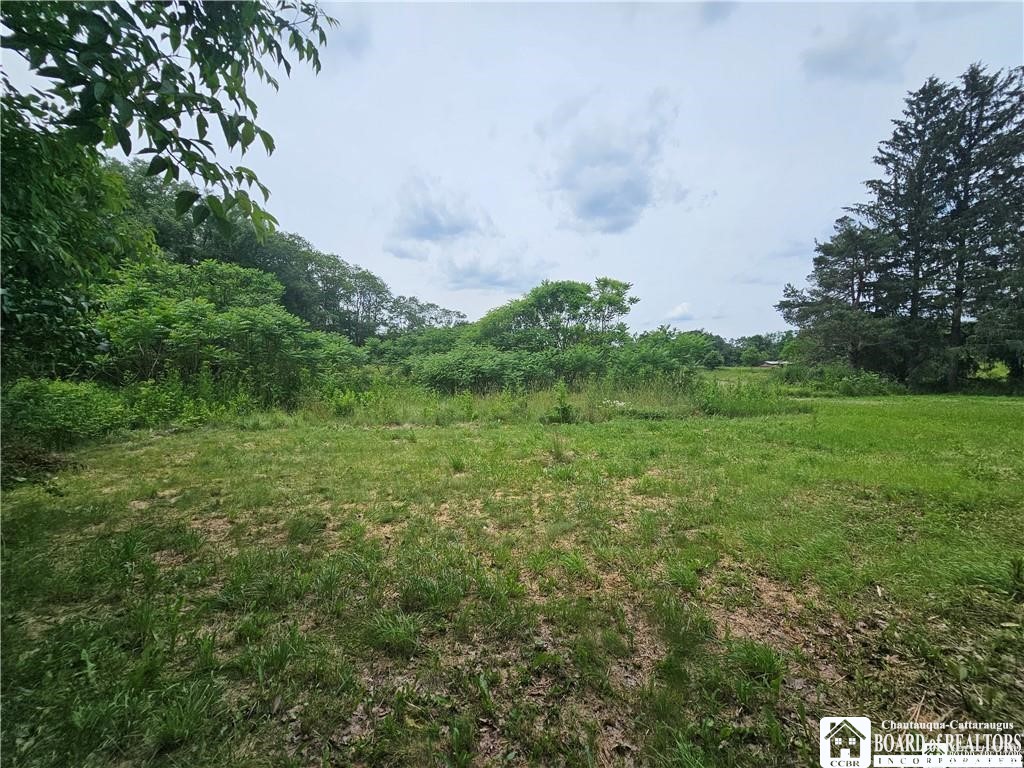 131 South Main Street Belfast, NY 14711 - Photo 4 of 17