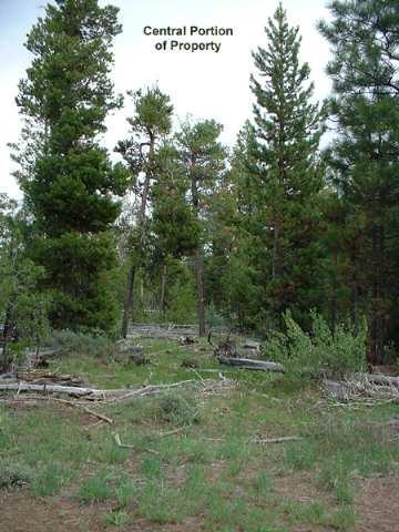 0 Yellowpine Beatty, OR 97621 - Photo 7 of 8 Additional Photo