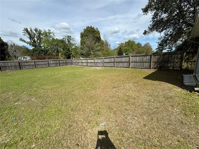 a view of a yard with a large tree