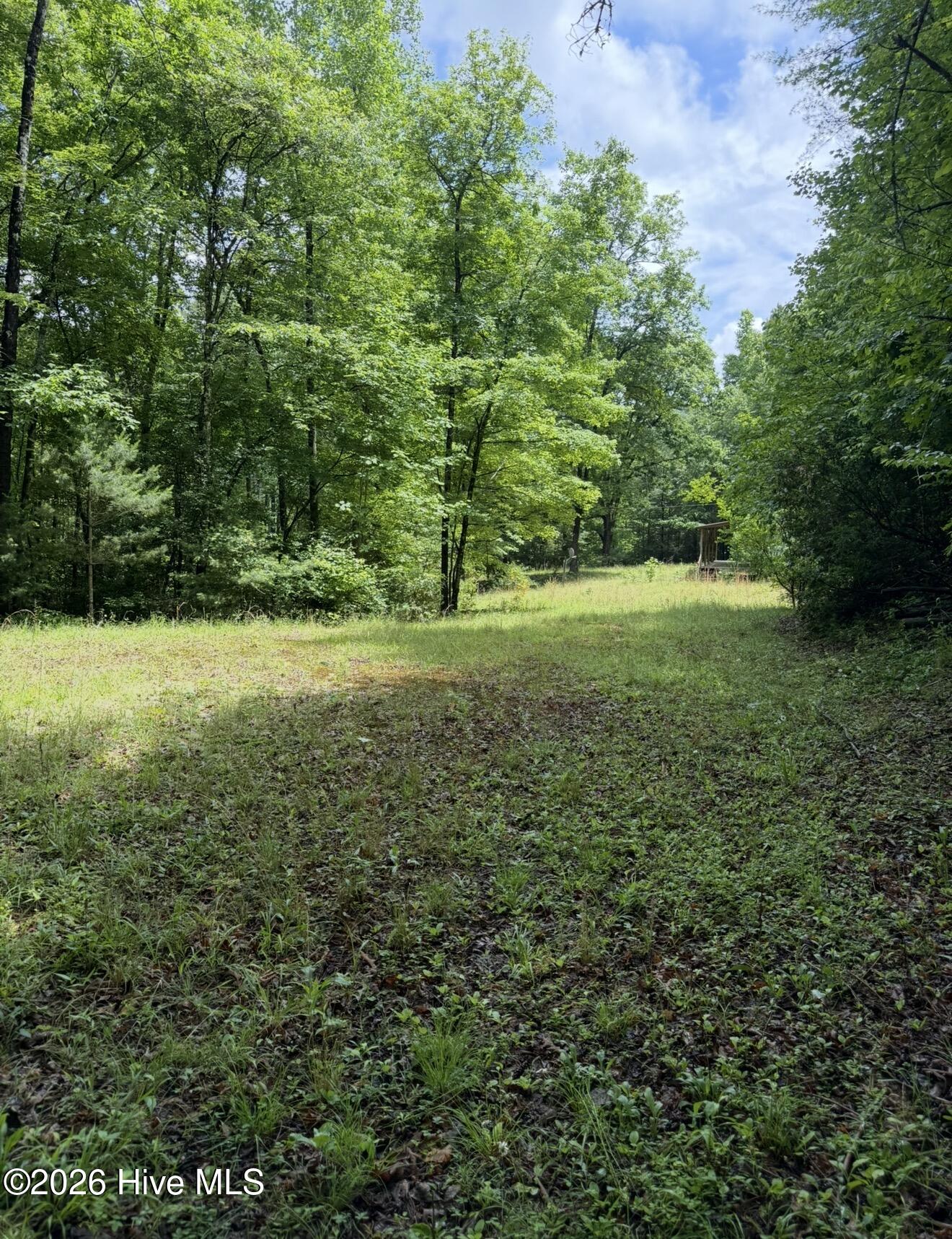 1234 Dockery Crk Road Murphy, NC 28906 - Photo 20 of 29