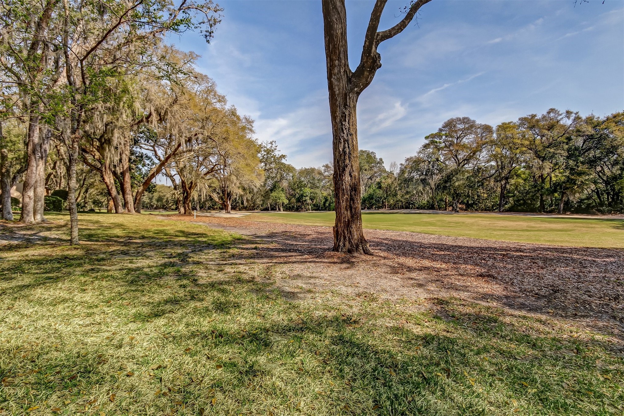 3323 Sea Marsh Road, Unit 3323 Fernandina Beach, FL 32034 - Photo 26 of 47 a view of a yard with a house