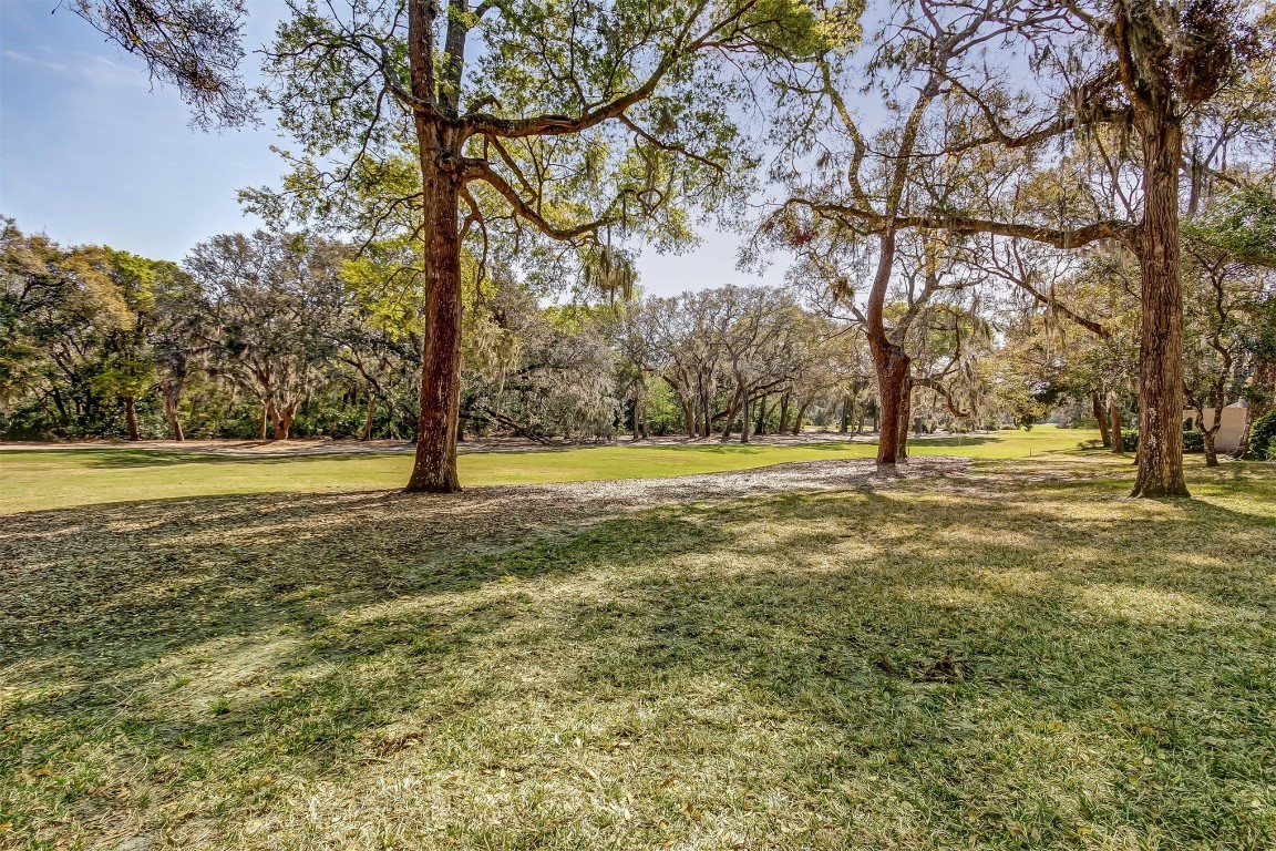 3323 Sea Marsh Road, Unit 3323 Fernandina Beach, FL 32034 - Photo 29 of 48 a view of yard with trees