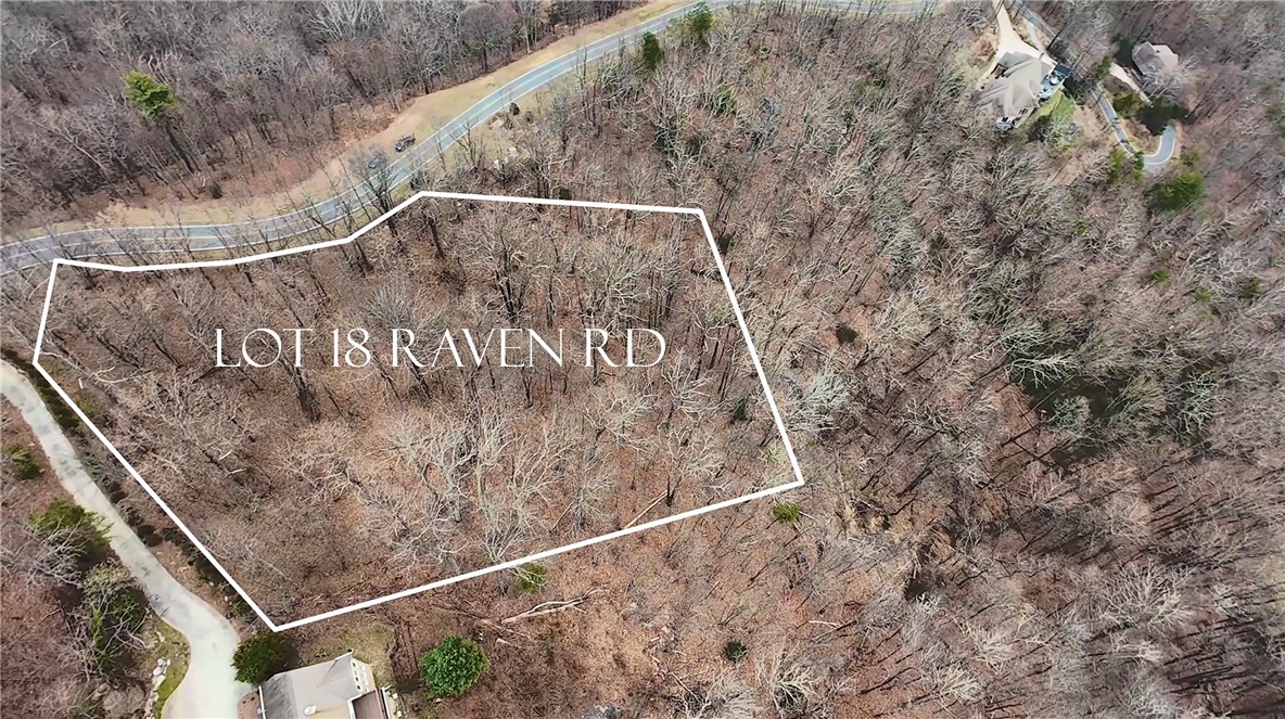 Lot 18 Raven Road Landrum, SC 29356 - Photo 4 of 7 This aerial view showcases a spacious, tree-lined lot, ready for your vision.