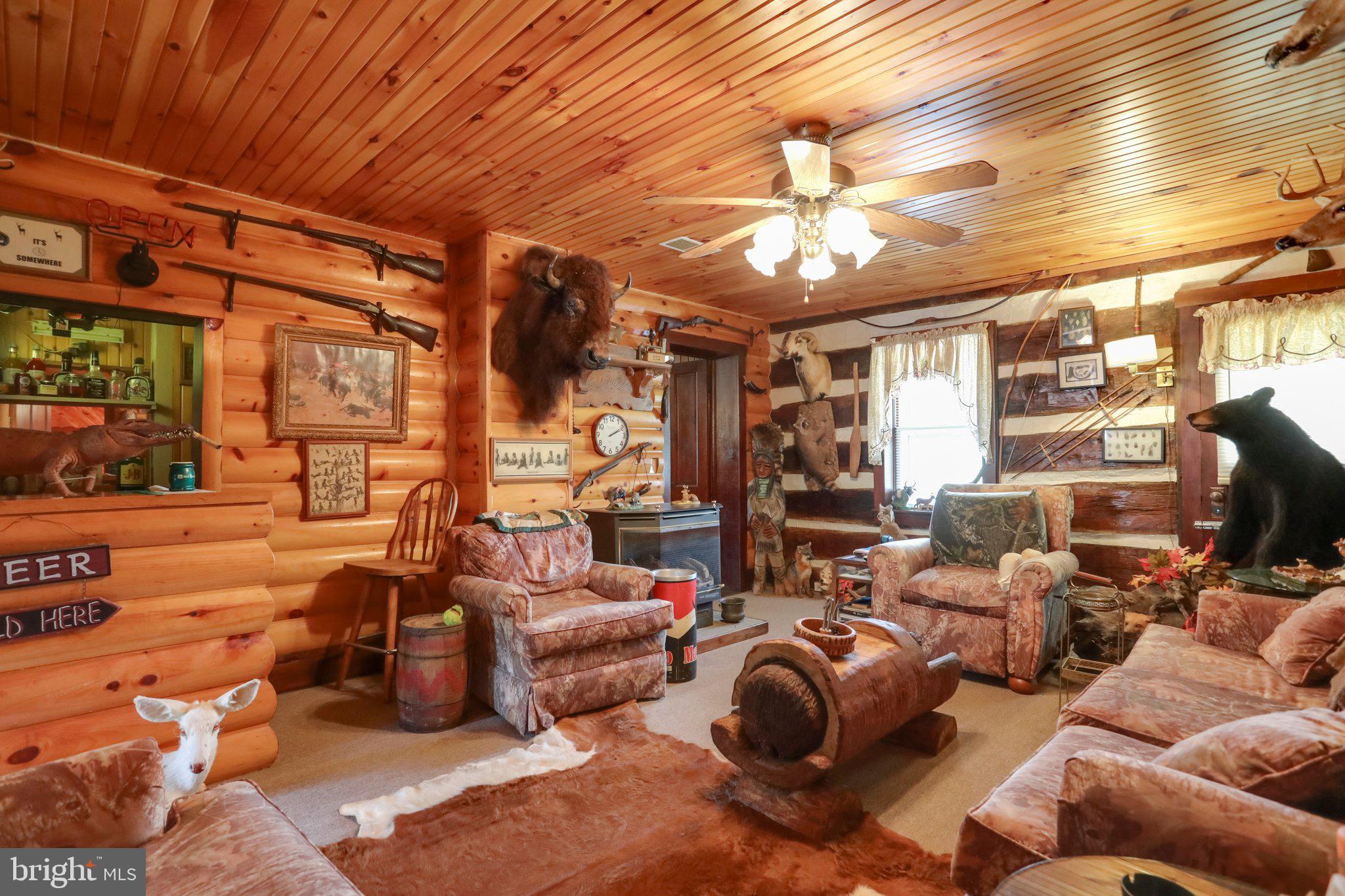 1054 Fleming Road Purgitsville, WV 26710 - Photo 11 of 56