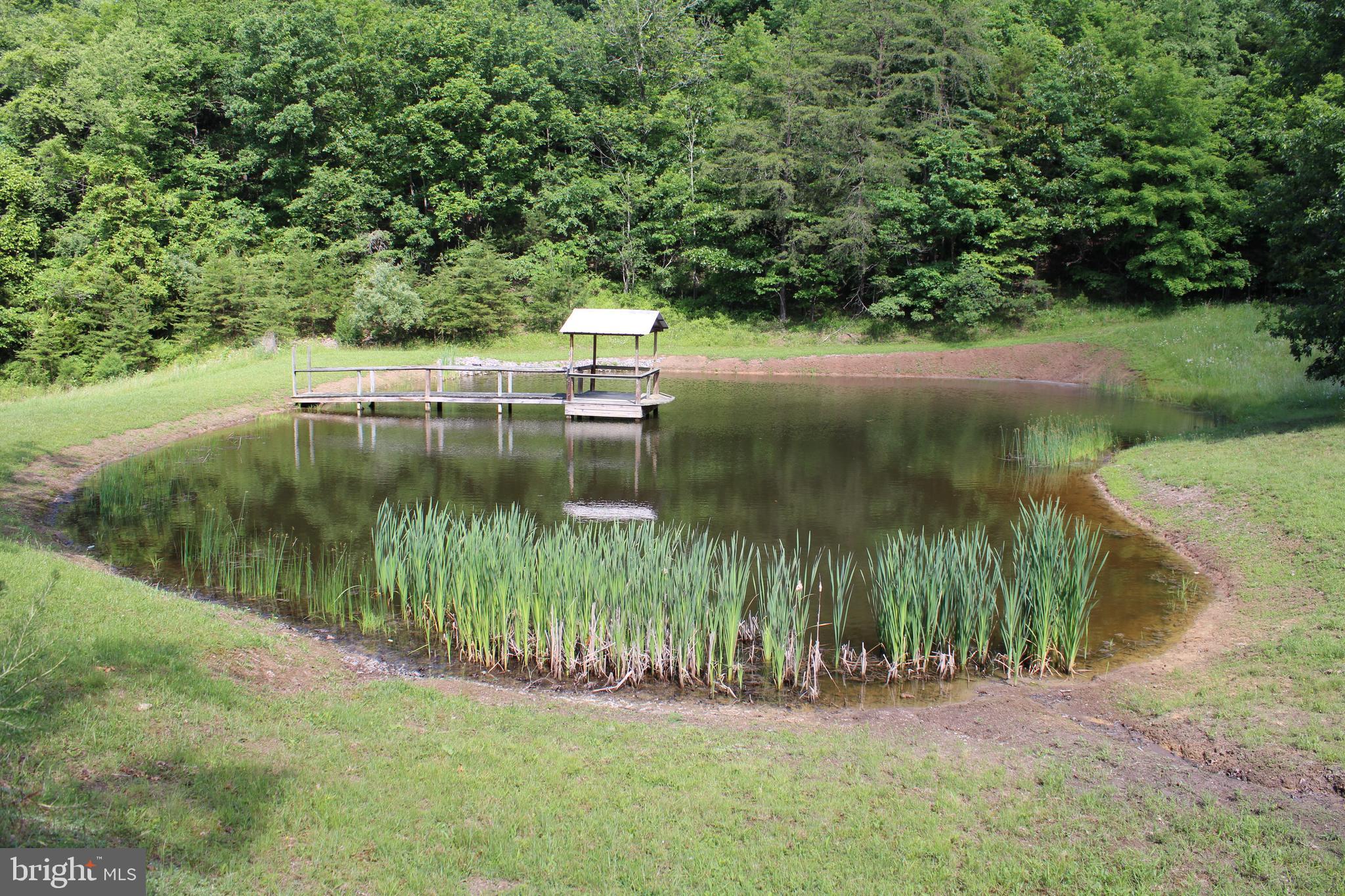 1054 Fleming Road Purgitsville, WV 26710 - Photo 42 of 56