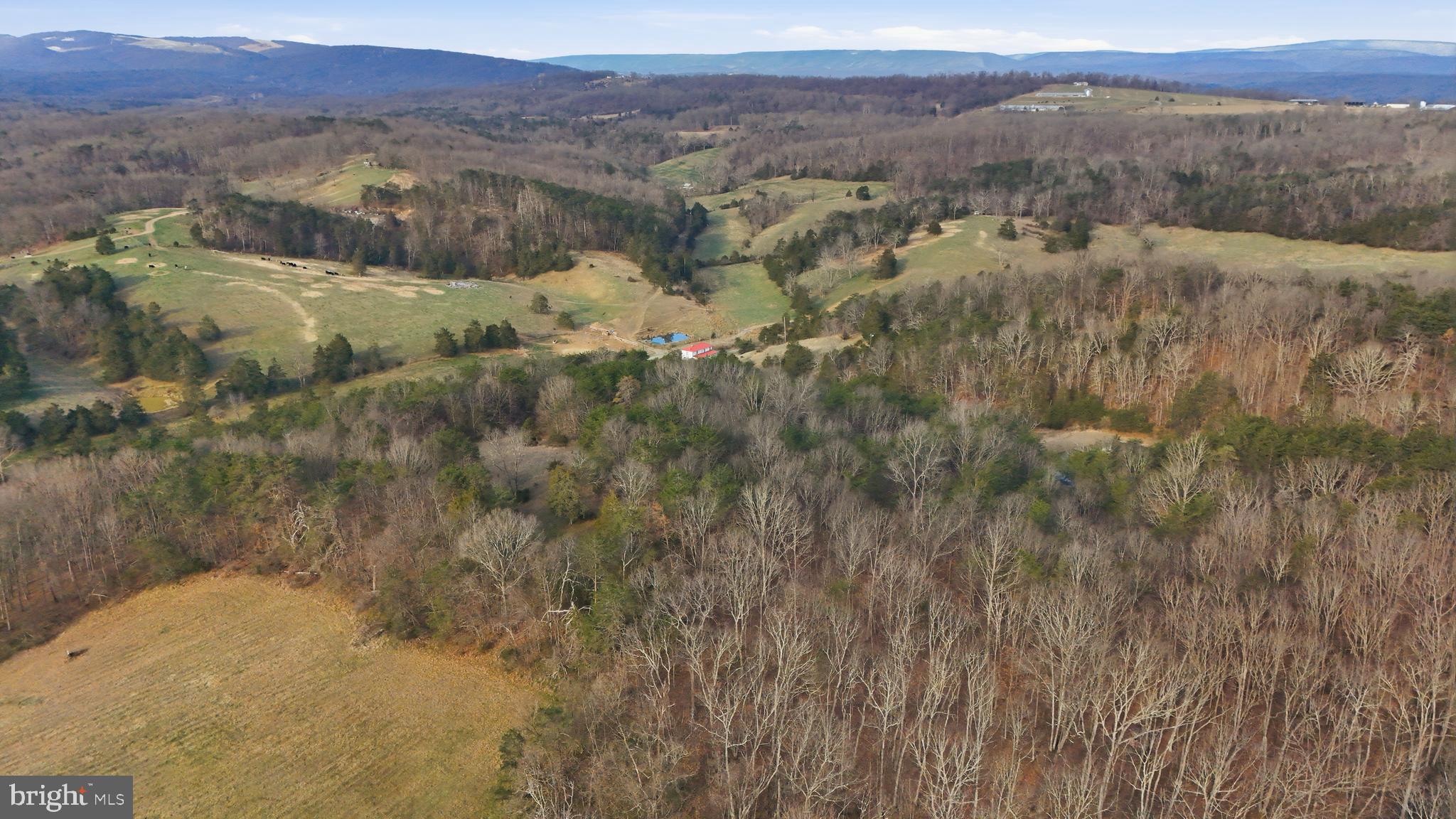 1054 Fleming Road Purgitsville, WV 26710 - Photo 49 of 56