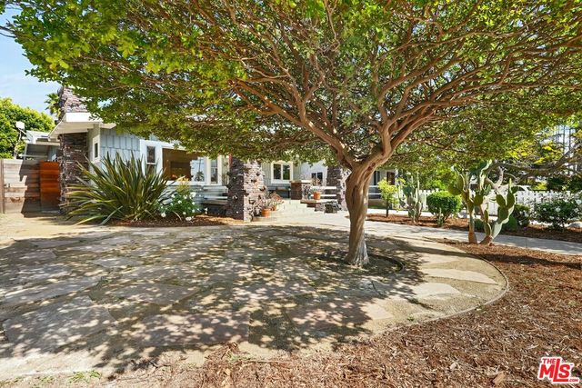 a street view with large trees