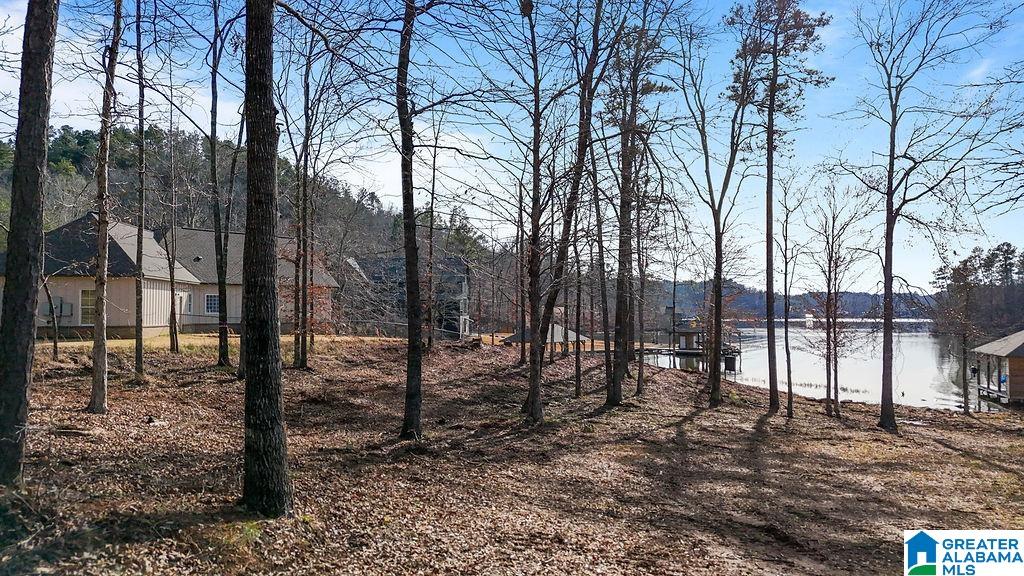 2147 Eagle Mountain Road, Unit 12 Rockford, AL 35136 - Photo 19 of 22