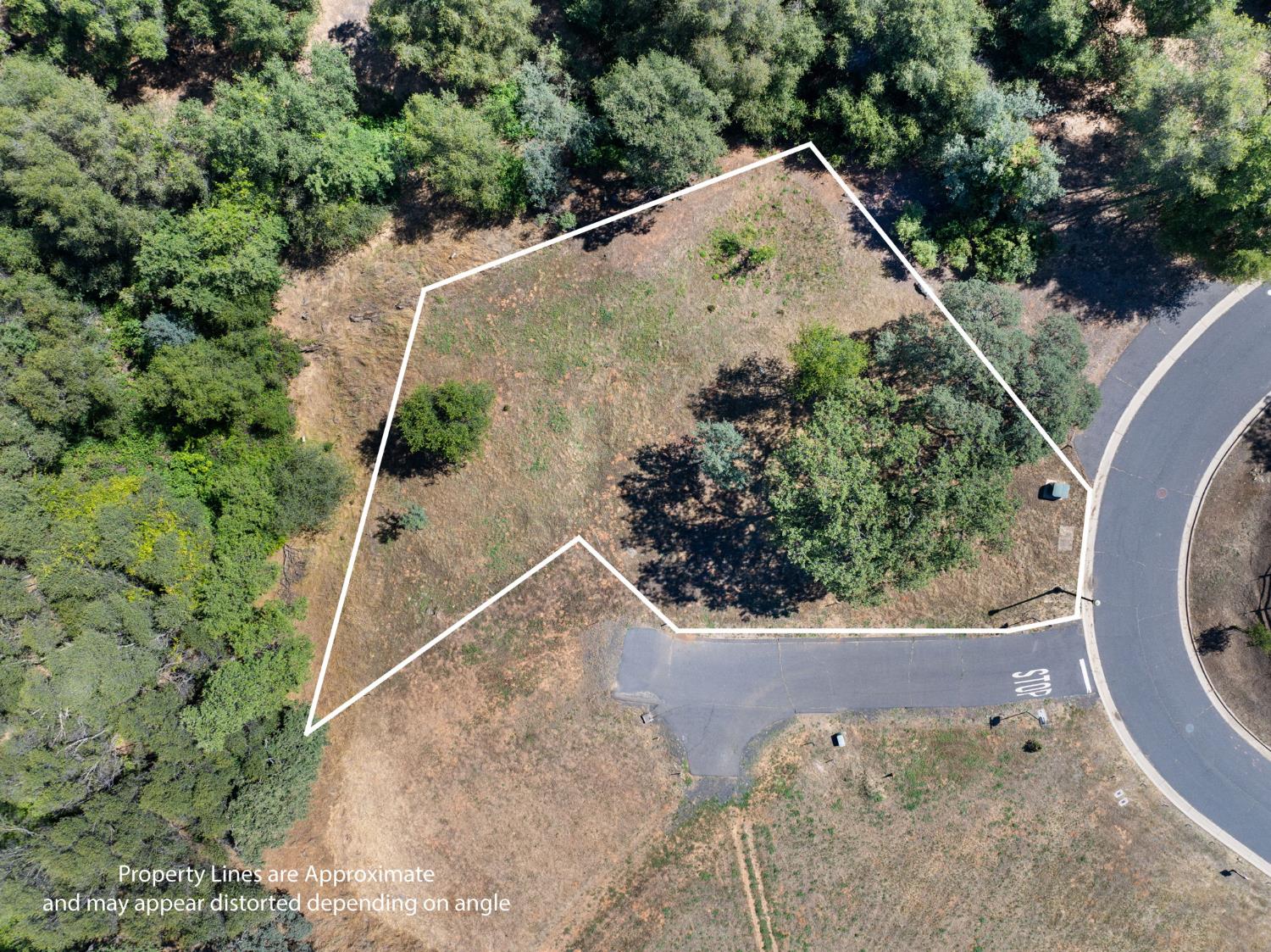 751 Grinding Rock Road Angels Camp, CA 95222 - Photo 16 of 19 This is a .32 Acre Premium Lot and the diagram is approximate.
