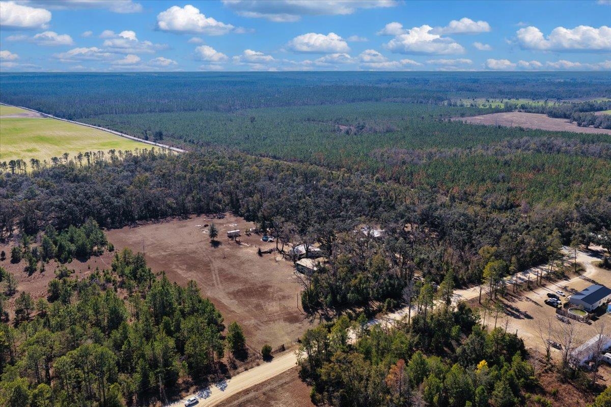 164 Northeast Fir Street Pinetta, FL 32350 - Photo 19 of 70