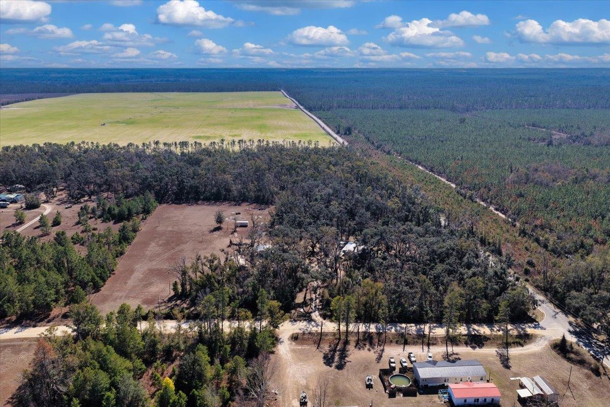 164 Northeast Fir Street Pinetta, FL 32350 - Photo 20 of 70