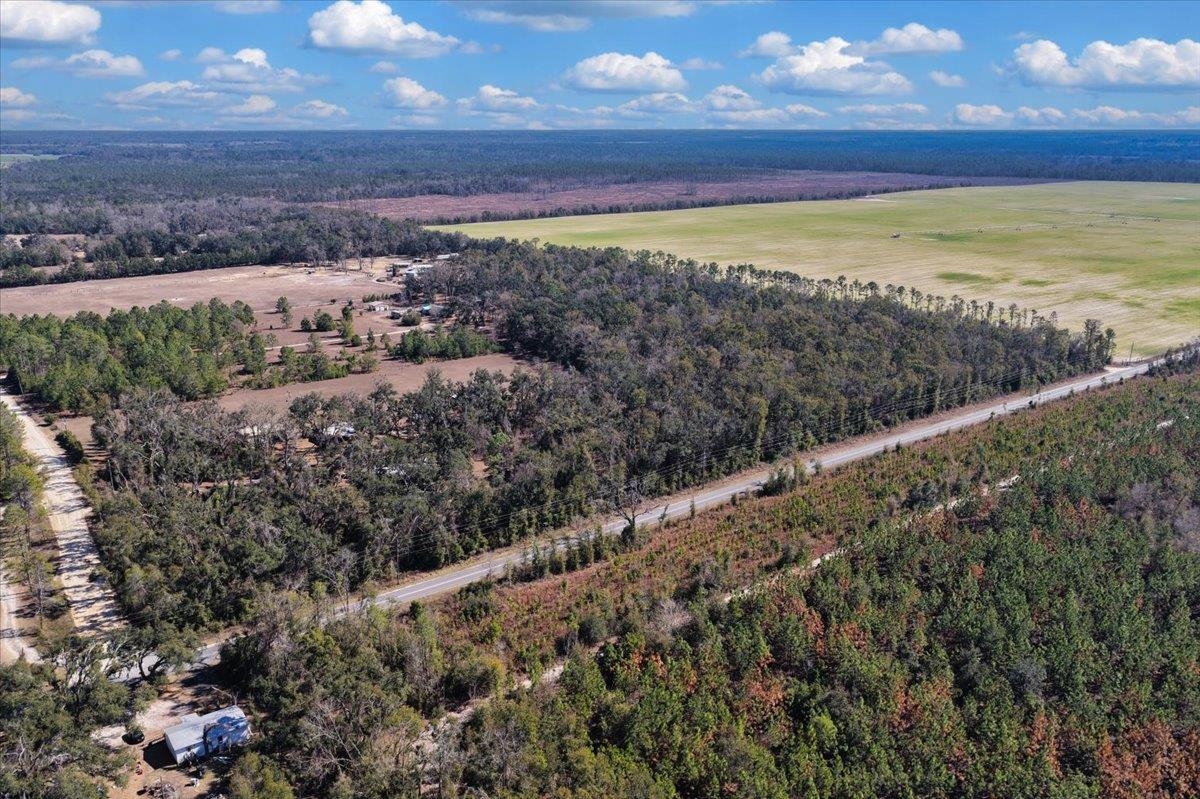 164 Northeast Fir Street Pinetta, FL 32350 - Photo 22 of 70