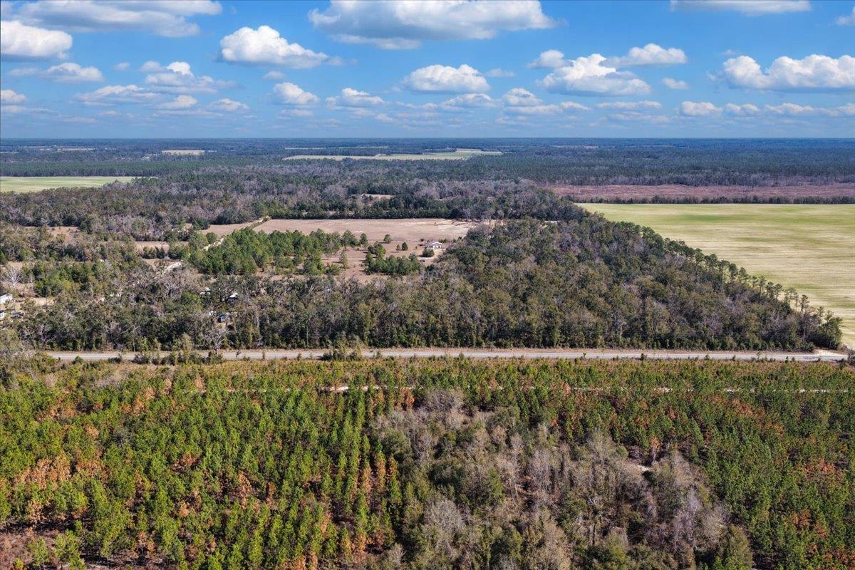 164 Northeast Fir Street Pinetta, FL 32350 - Photo 23 of 70