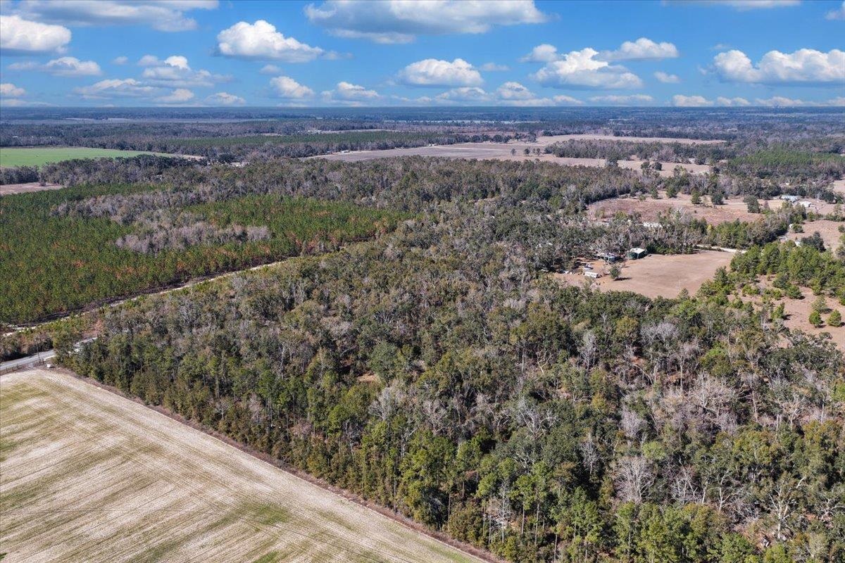 164 Northeast Fir Street Pinetta, FL 32350 - Photo 26 of 70