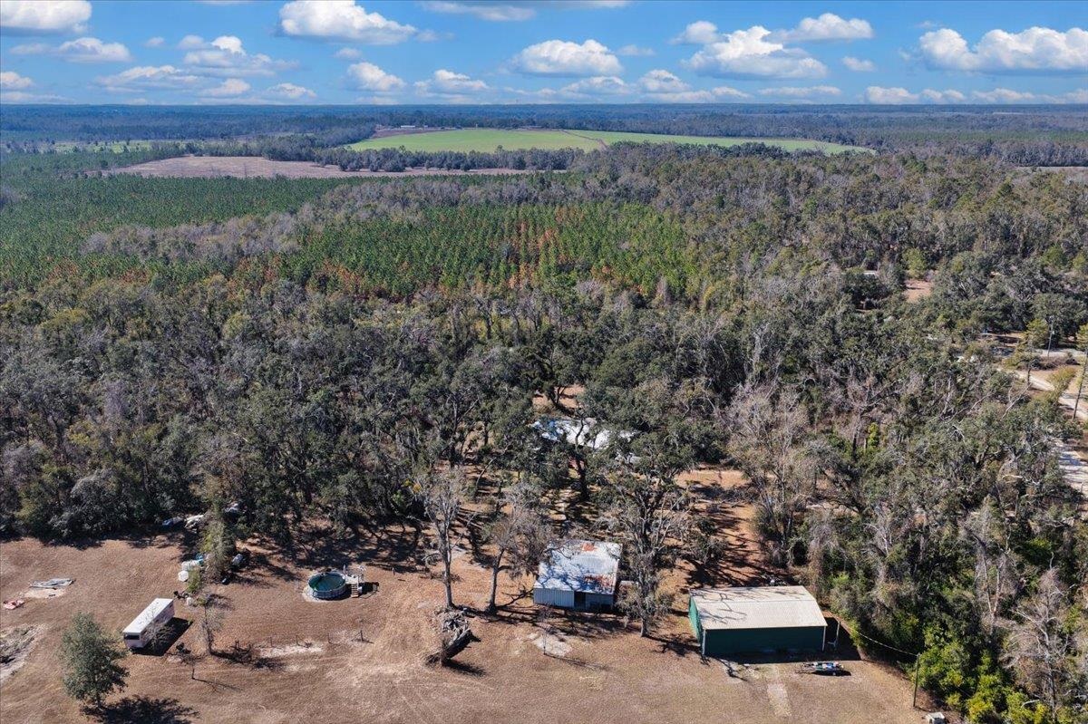 164 Northeast Fir Street Pinetta, FL 32350 - Photo 30 of 70