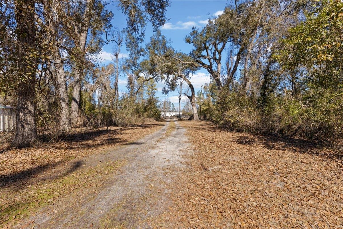 164 Northeast Fir Street Pinetta, FL 32350 - Photo 32 of 70