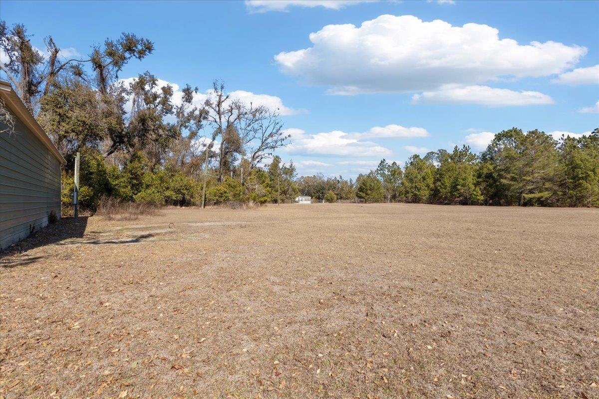 164 Northeast Fir Street Pinetta, FL 32350 - Photo 41 of 70