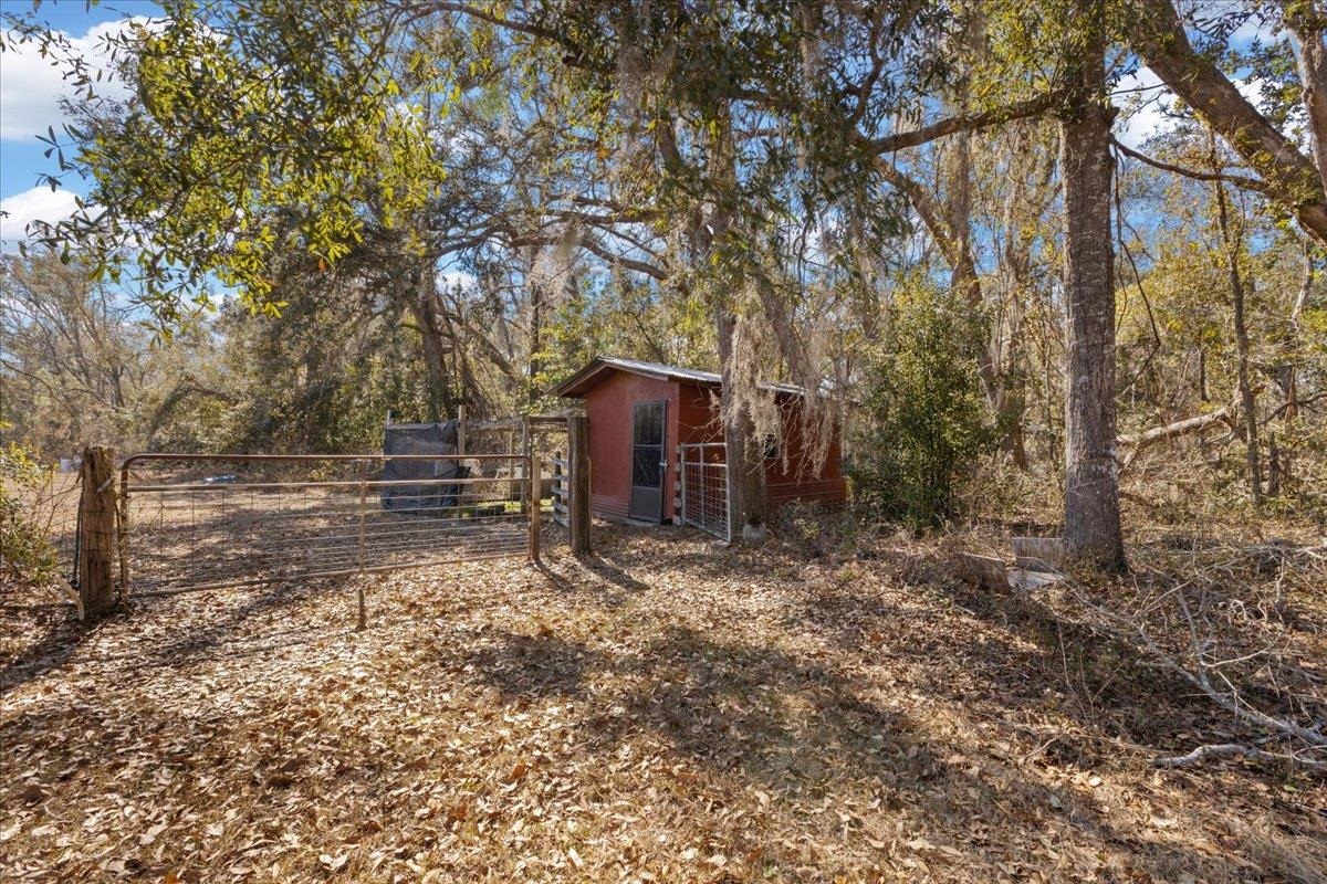 164 Northeast Fir Street Pinetta, FL 32350 - Photo 8 of 70