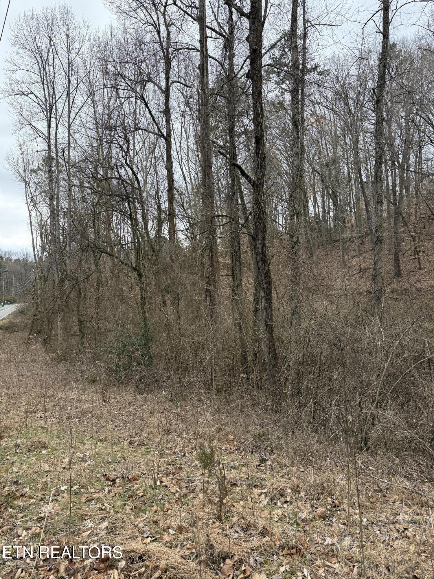 1801 Lyons Bend Road Knoxville, TN 37919 - Photo 4 of 7 IMG_5320