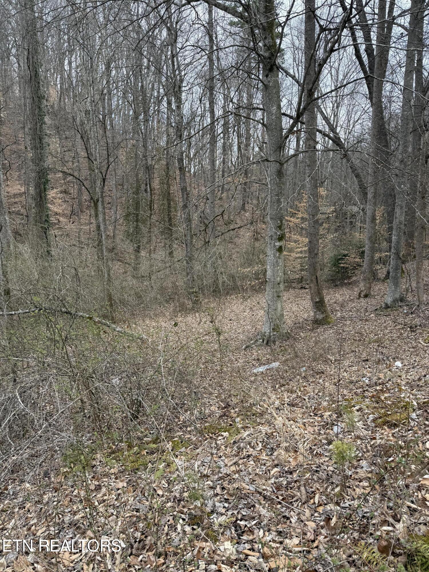 1801 Lyons Bend Road Knoxville, TN 37919 - Photo 5 of 7 IMG_5321