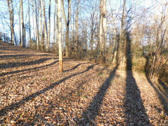 216 B Forest Road Oliver Springs, TN 37840 - Photo 5 of 12 5 BACK-YARD