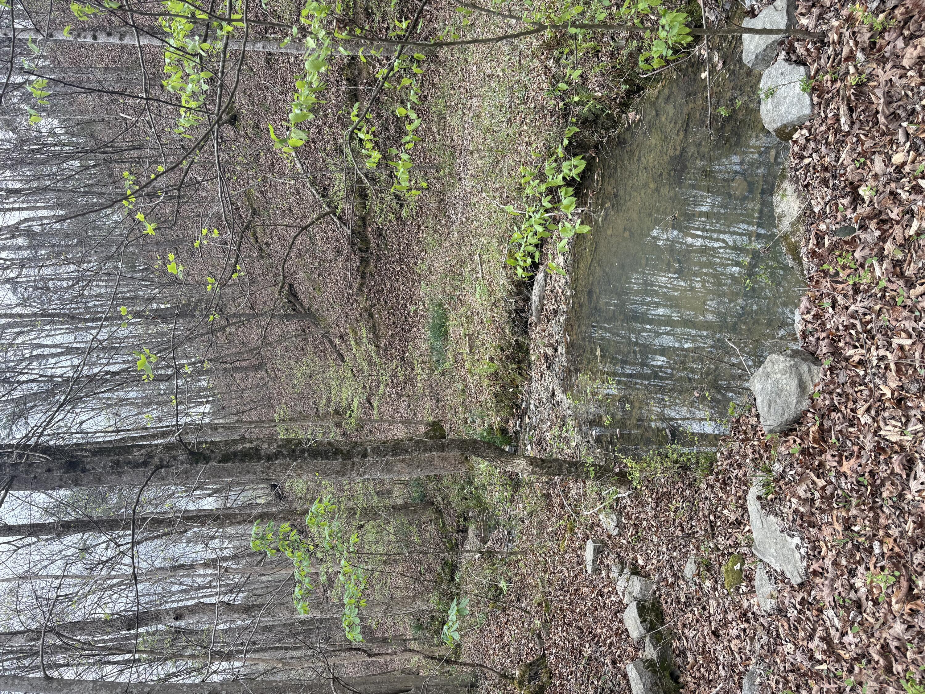 0 Castleberry Road LaFayette, GA 30728 - Photo 15 of 18 IMG_2263